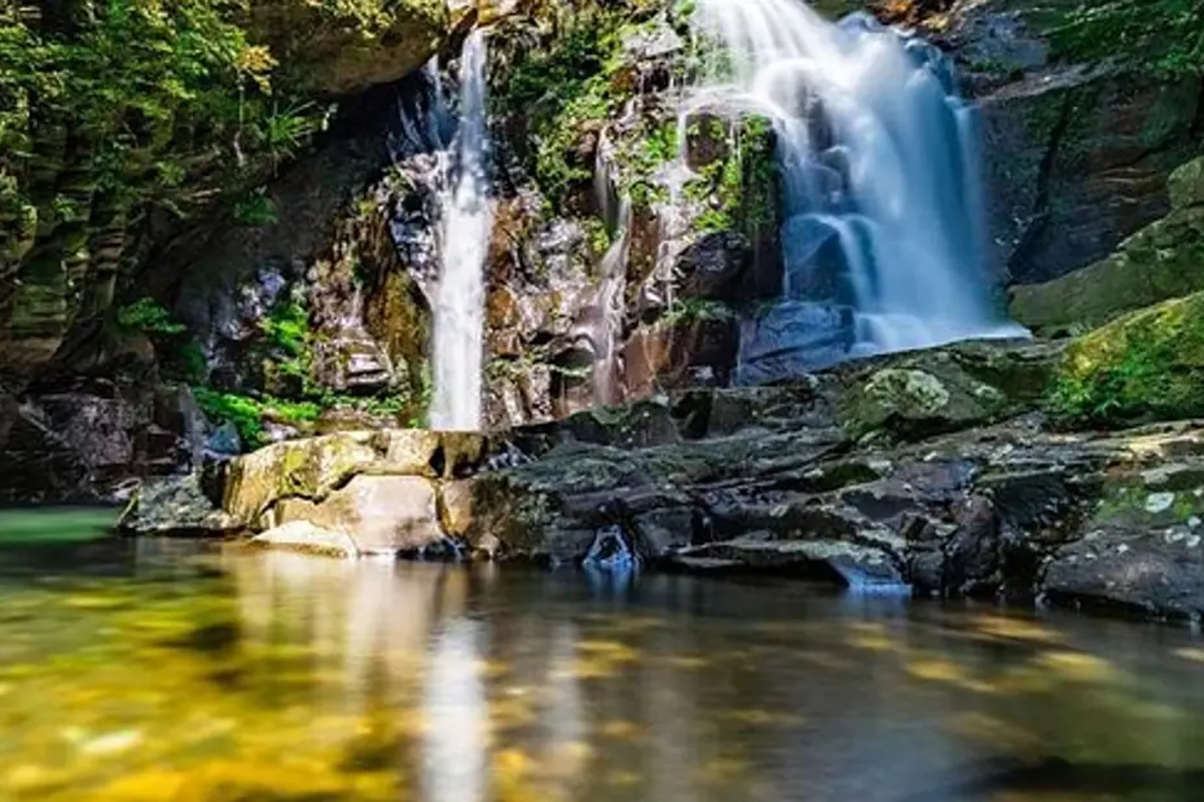 Bach Ma National Park one day tour